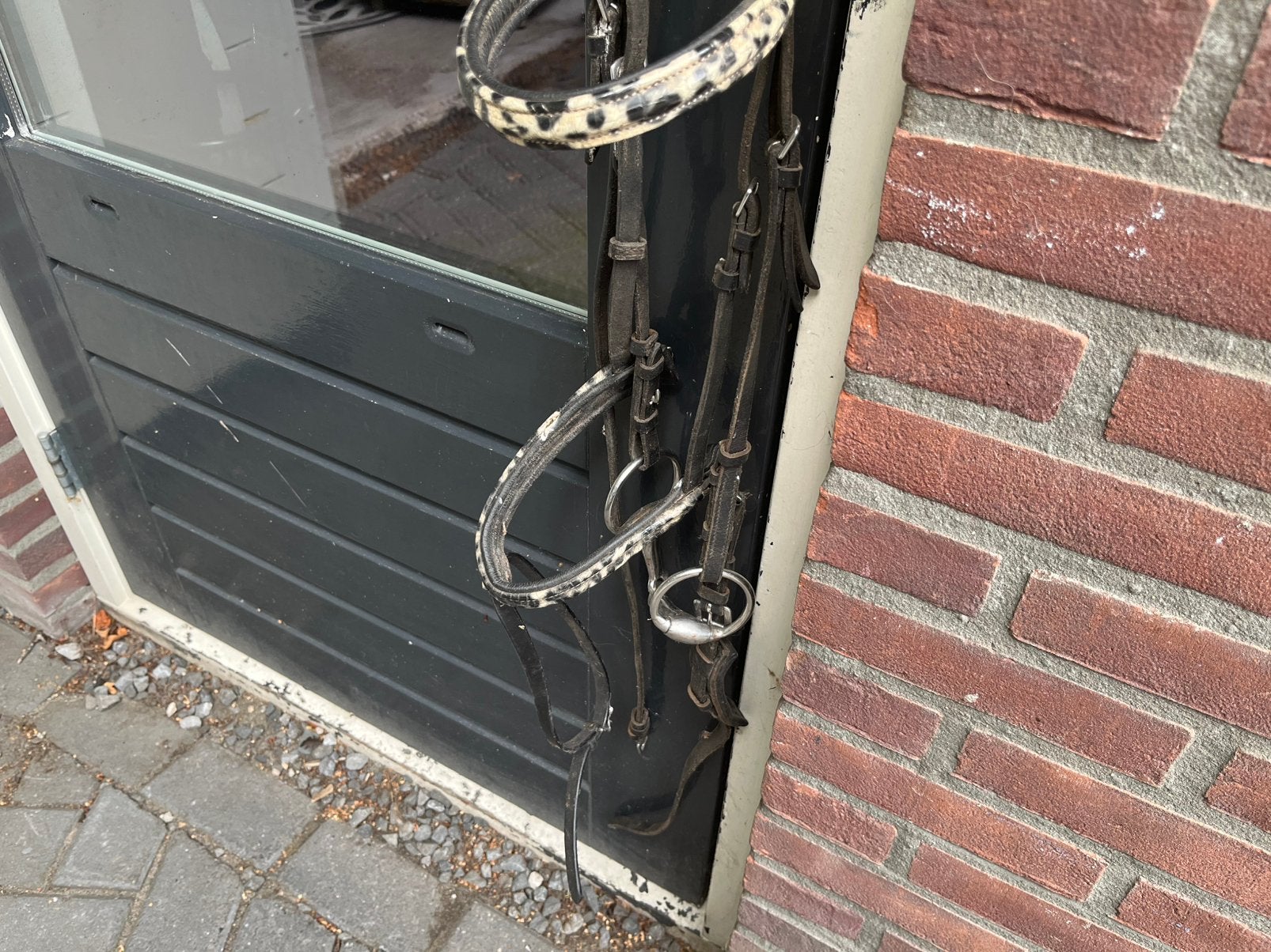 Superleuk panterprint hoofdstel maat Cobb, Ophalen, Inclusief bit, Zwart, Cob