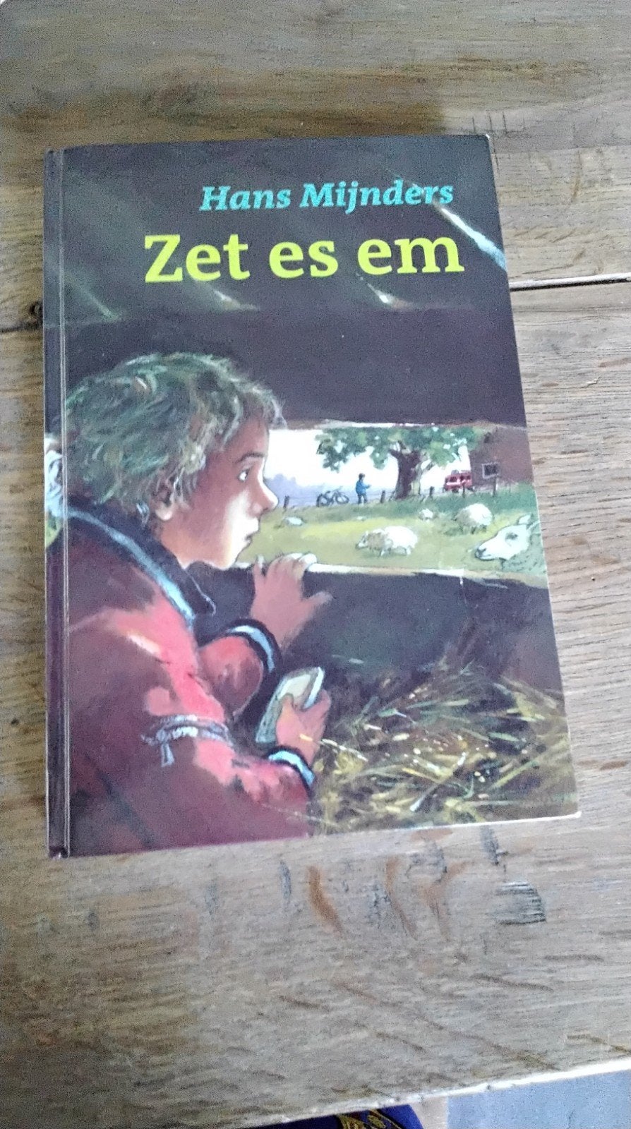 Boek  Zet es em ( zo spoedig mogelijk), Antiek en Kunst, Ophalen of Verzenden, Hans mijnders