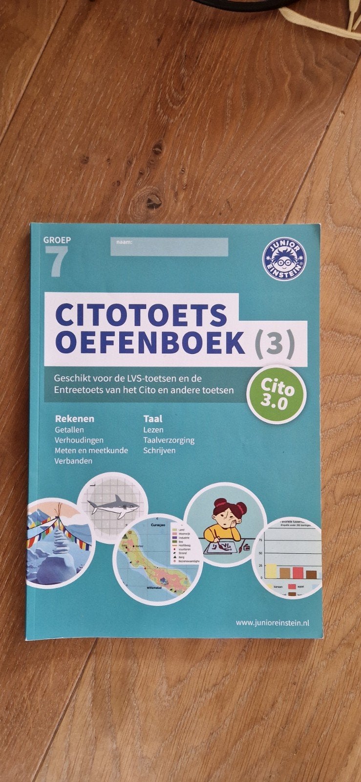 Cito Toets Oefenboek Groep 7 - Junior Einstein, Ophalen of Verzenden, Zo goed als nieuw, Overige niveaus, Junior Einstein