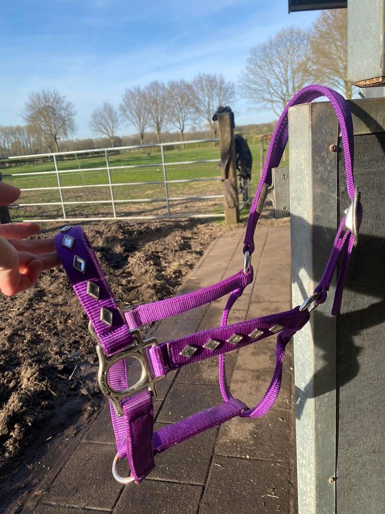Paars Halster met bling, Ophalen of Verzenden, Zo goed als nieuw, Overige soorten