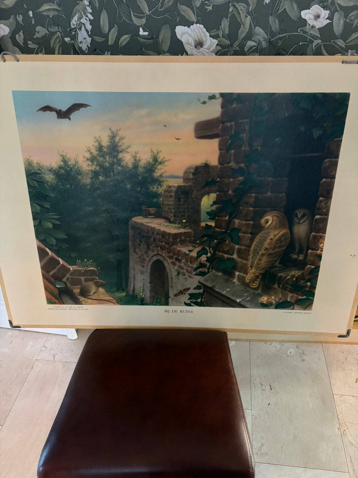 Vintage schoolplaten, Antiek en Kunst, Ophalen of Verzenden, Natuur en Biologie