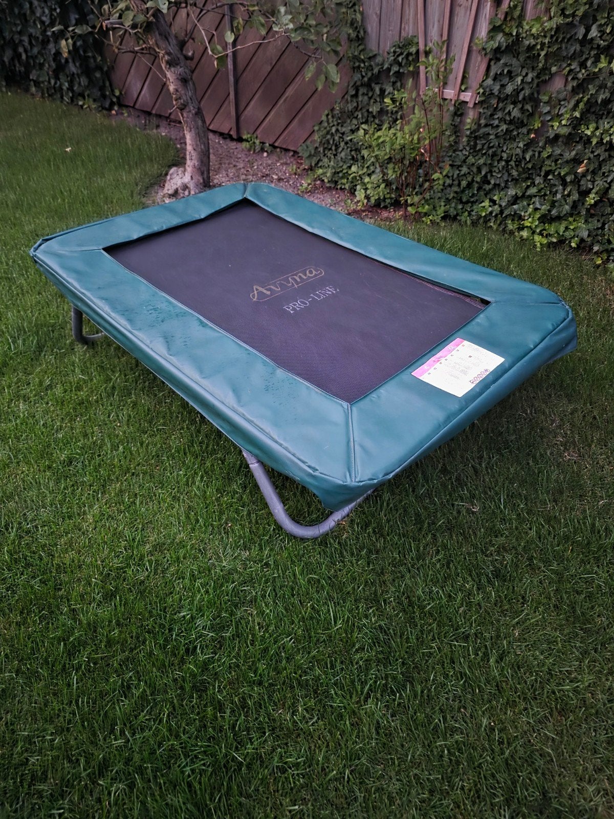Kleine Avyna Trampoline, Kinderen en Baby's, Speelgoed | Buiten | Trampolines, Ophalen, Gebruikt