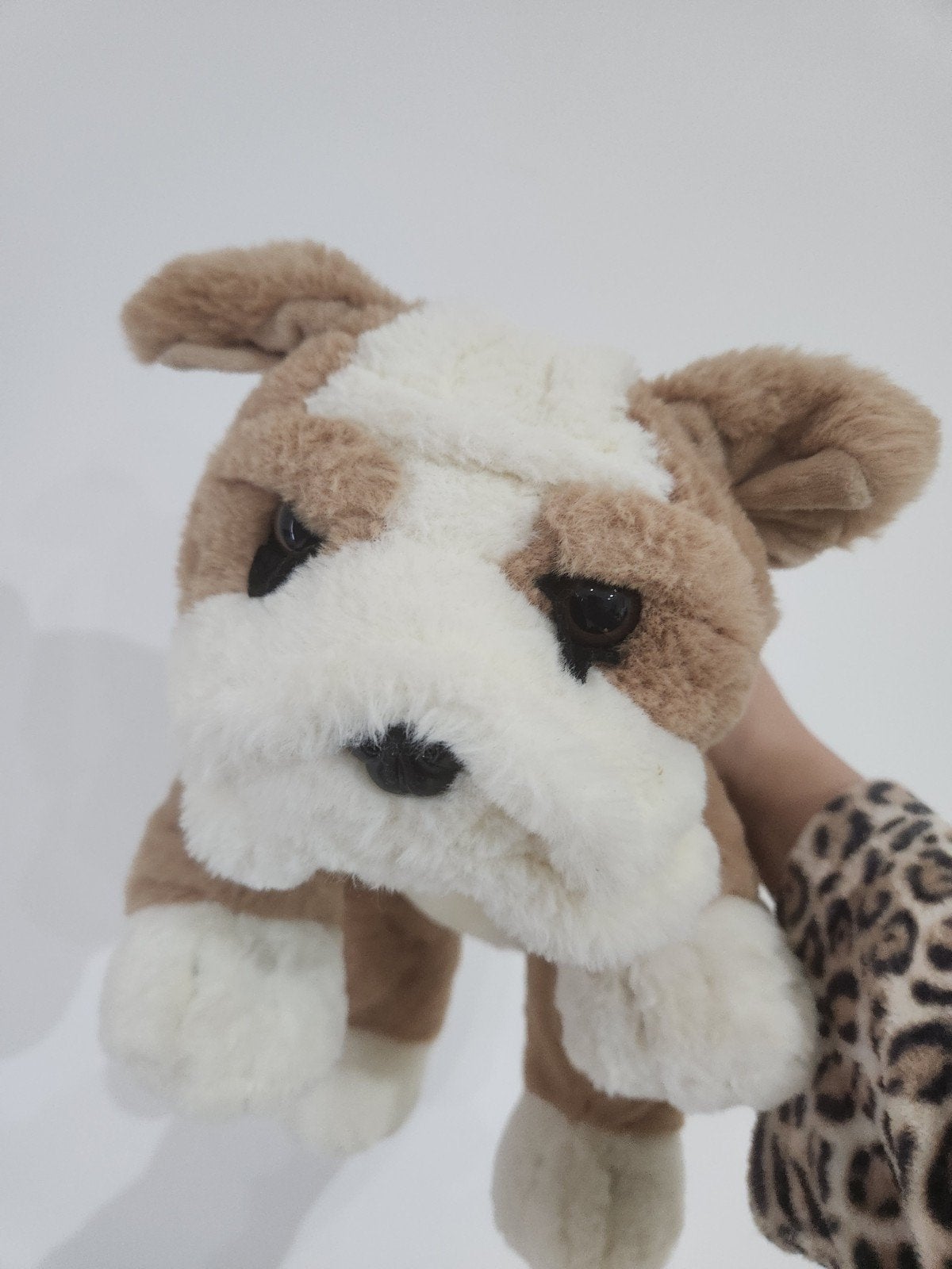 Sunkid Bulldog Knuffel - in goede staat, Gebruikt, Overige merken, Overige karakters, Middelgroot (20 tot 80 cm)