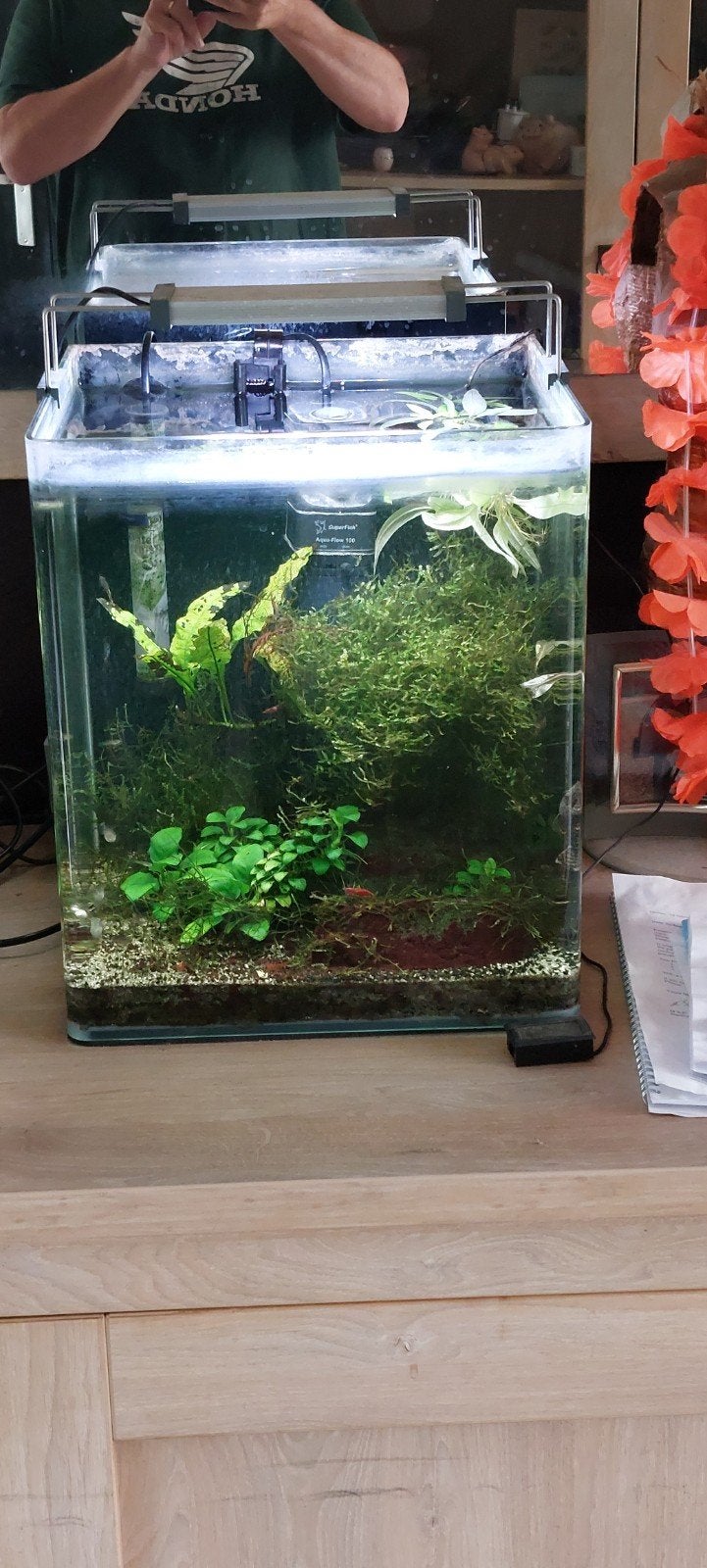 30l aquarium, Dieren en Toebehoren, Ophalen, Gebruikt, Leeg aquarium