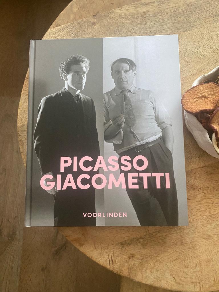 Picasso-Giacometti album, Ophalen of Verzenden, Zo goed als nieuw, Overige onderwerpen