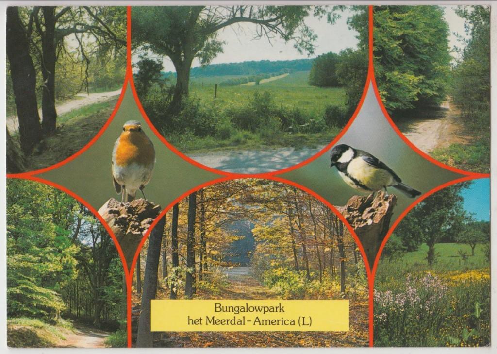 America Het Meerdal Bungalowpark v. Center Parcs 1989 Gelope, Verzenden, 1980 tot heden, Gelopen, Limburg