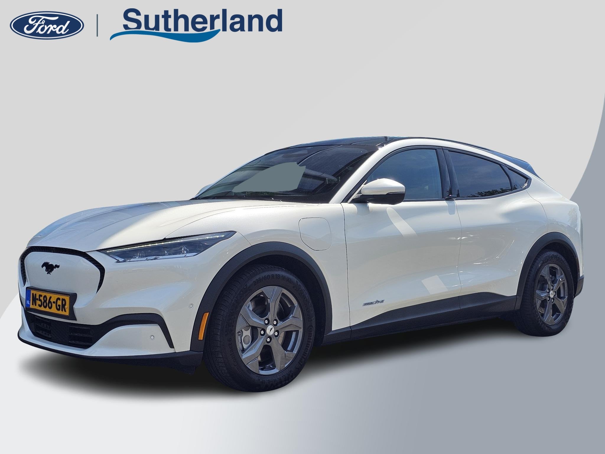 Ford Mustang Mach-E RWD 75 kWh | 59.800 KM | SOH 93% | Leder