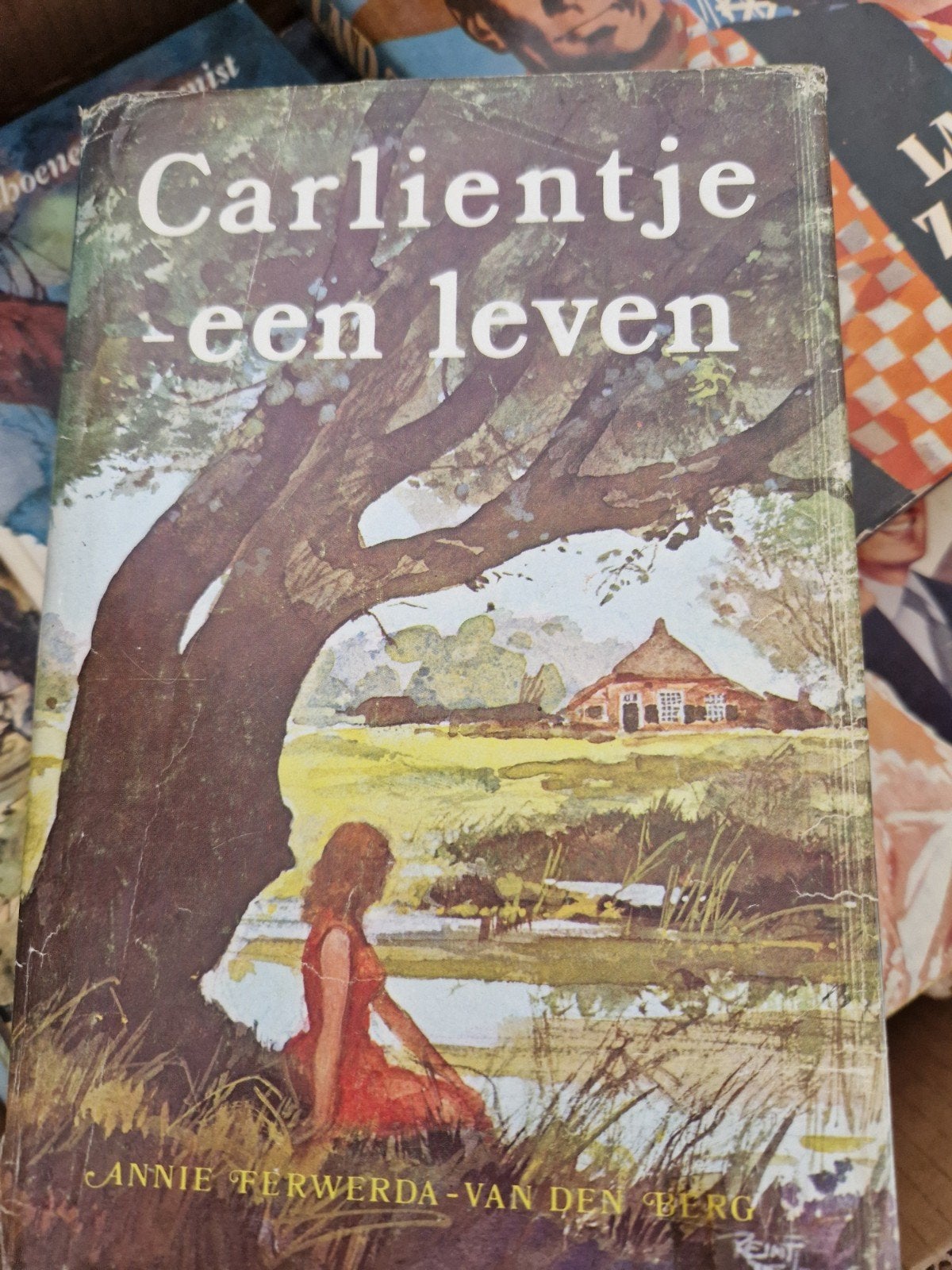 Carlientje een leven - Annie Ferwerda-van den Berg, Boeken, Romans, Ophalen of Verzenden, Gelezen, Annie Ferwerda-van den Berg