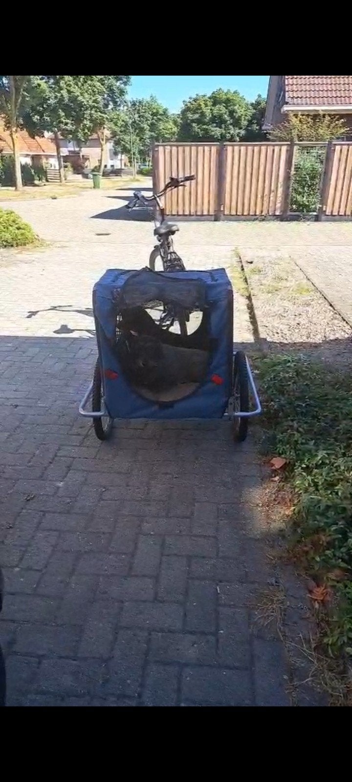 Topmast hondenfietskar, Ophalen, Gebruikt, Opvouwbaar, Topmast