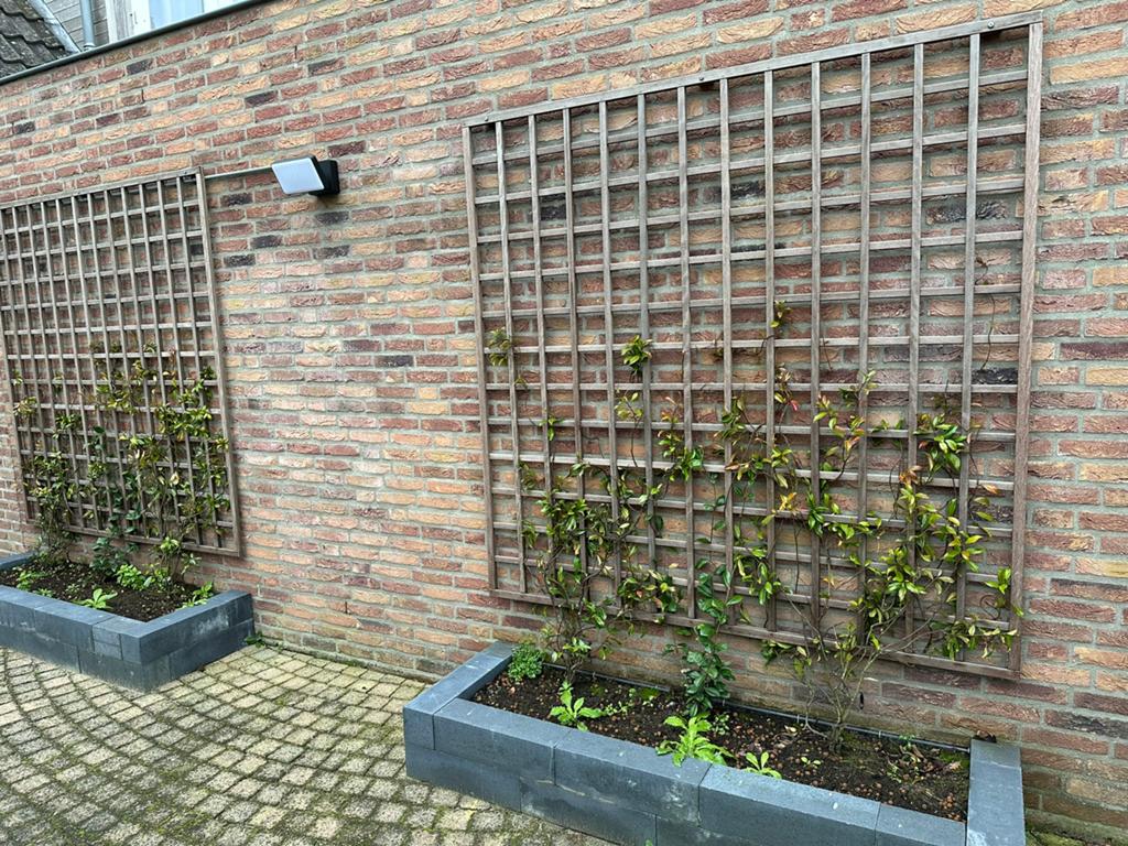 Klimplantroosters hardhout, Tuin en Terras, Ophalen, 1 tot 2 meter, Minder dan 3 meter, Zo goed als nieuw