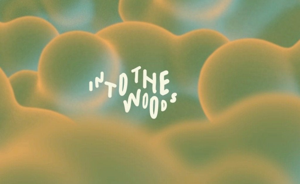 Into the woods weekendticket (18 & 19 september), Tickets en Kaartjes, Eén persoon, Meerdaags