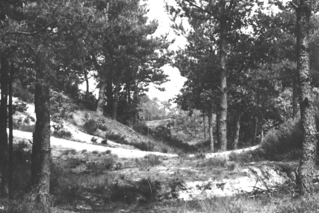 967101 Zuidwolde Klein Zwitserland 1951 Drenthe Gelopen, Verzamelen, Ansichtkaarten | Nederland, Ophalen of Verzenden, 1940 tot 1960