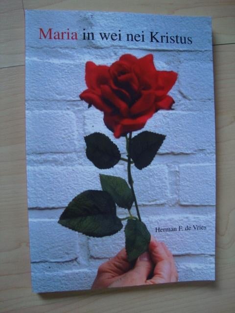 MARIA IN WEI NEI KRISTUS door Herman F de Vries friestalig, Ophalen of Verzenden, Zo goed als nieuw