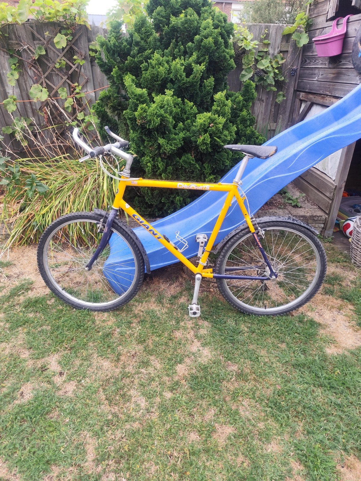 Giant mountainbike, Ophalen, Gebruikt, Giant