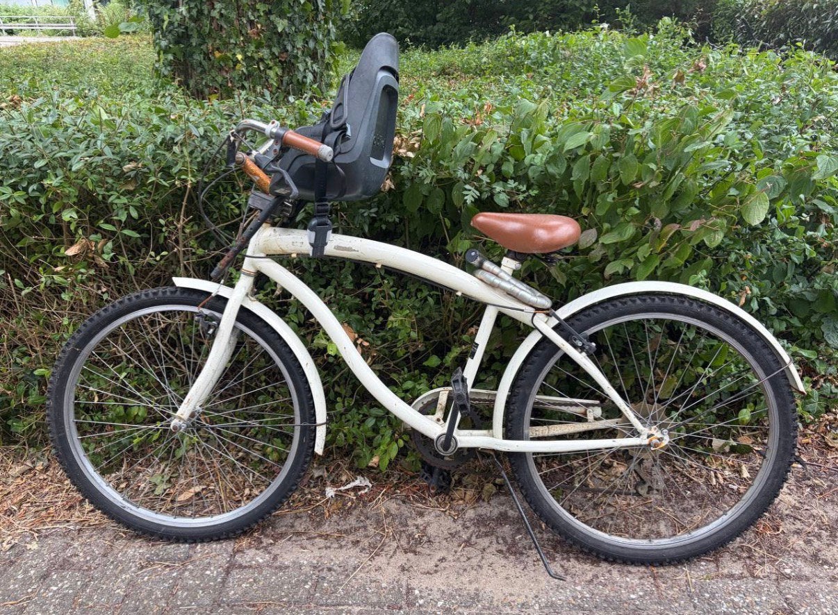 fiets met kinderzitje, Ophalen, Gebruikt, Staal, Dames