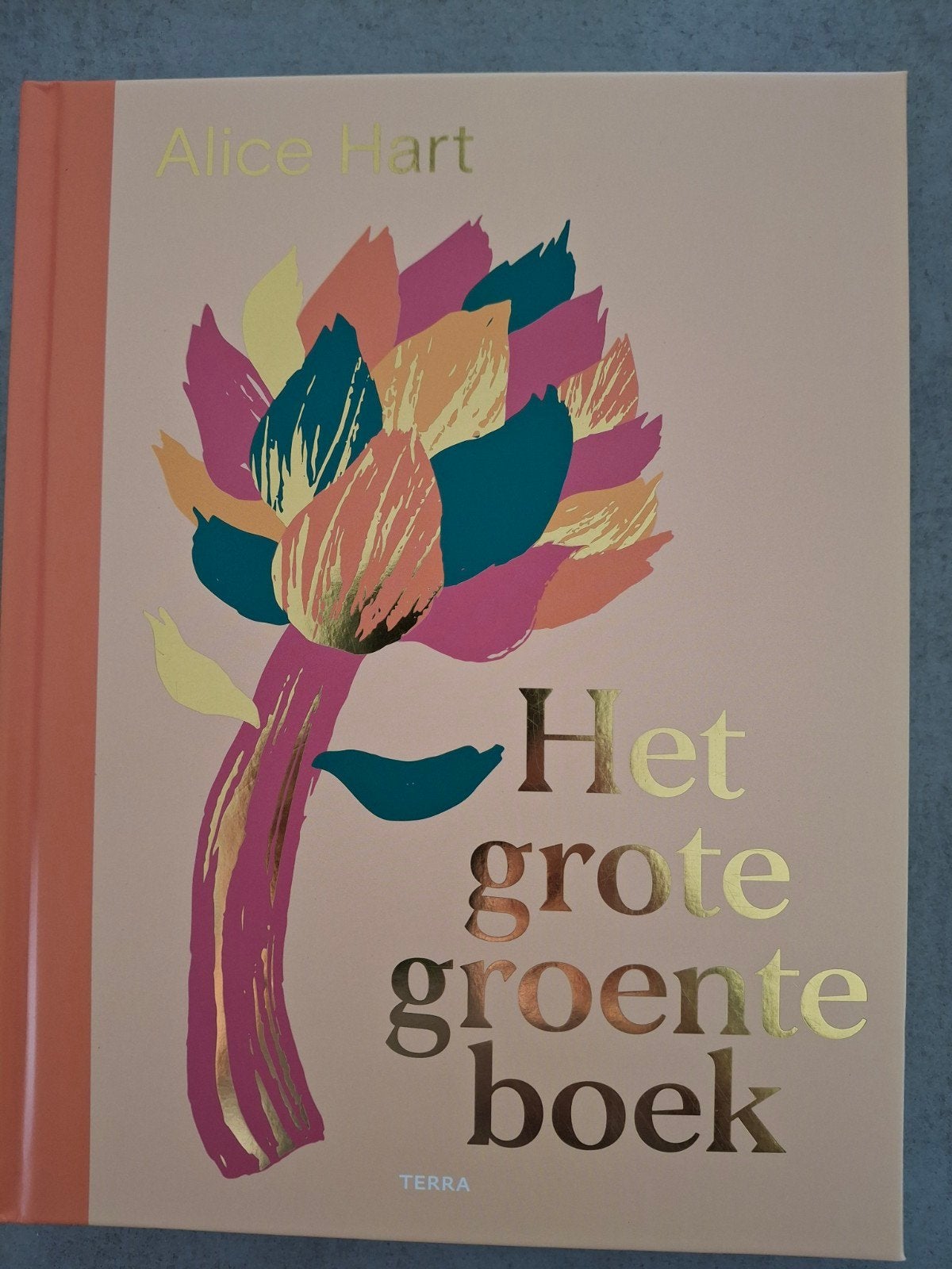 Het Grote Groenteboek - Alice Hart, Boeken, Alice Hart, Gezond koken, Ophalen of Verzenden, Zo goed als nieuw
