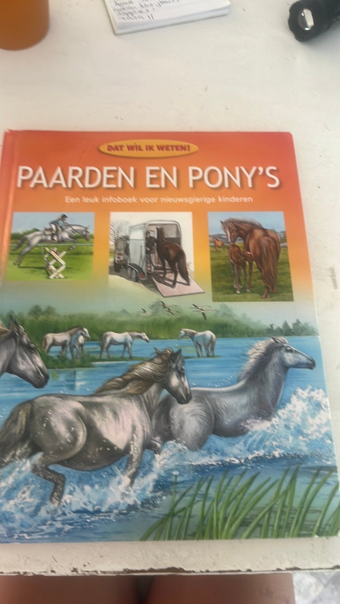 Paarden en pony’s, Ophalen of Verzenden, Zo goed als nieuw, Paarden of Pony's
