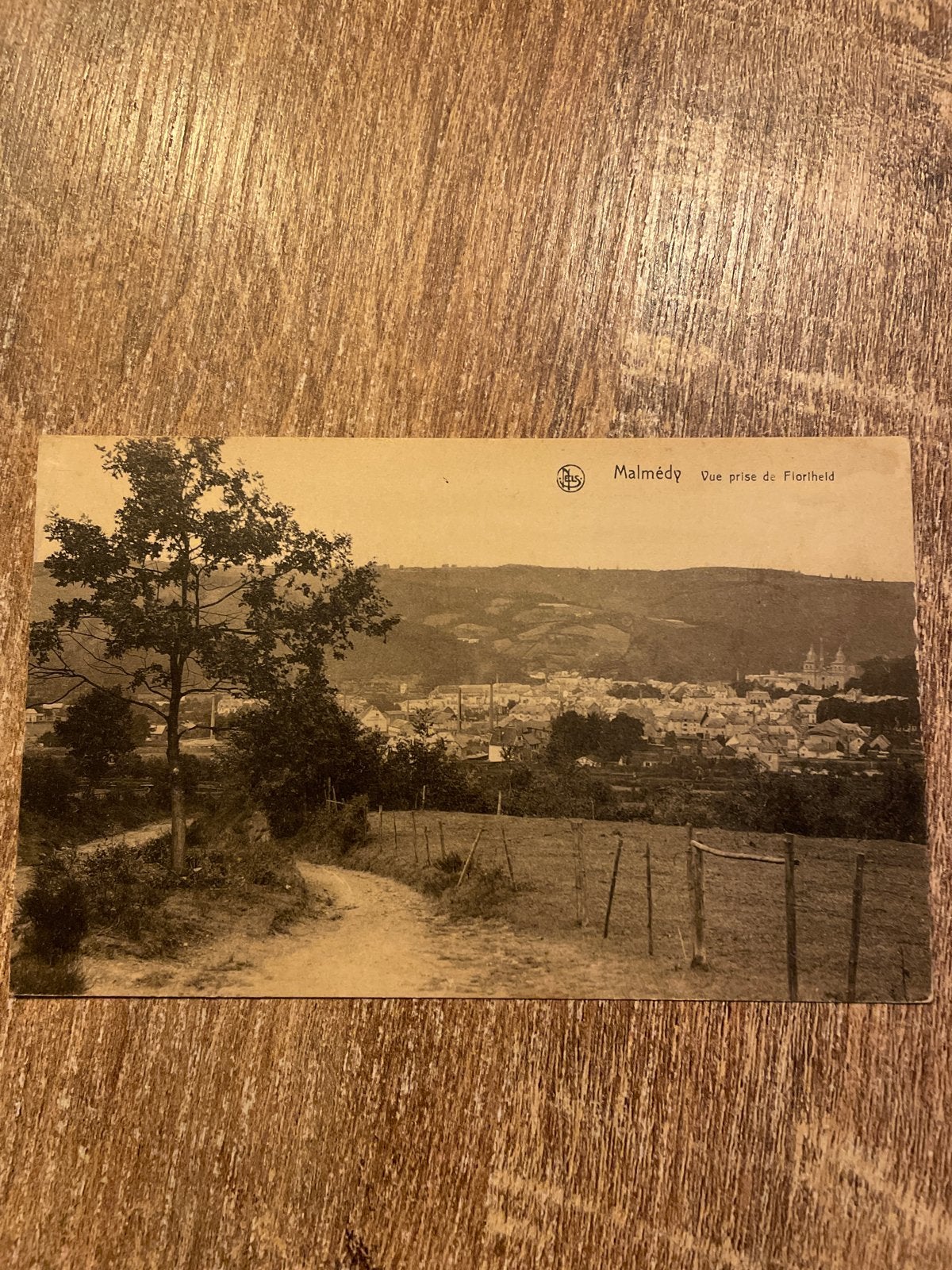 Oude ansichtkaart Malmédy - Vue prise du Floriheid, Ophalen of Verzenden, Ongelopen, Luik