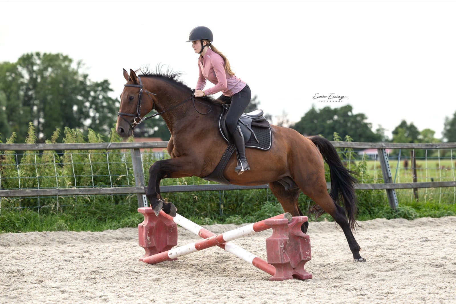Verzorg paard/ bijrijdpaard gezocht, Ophalen, Nieuw