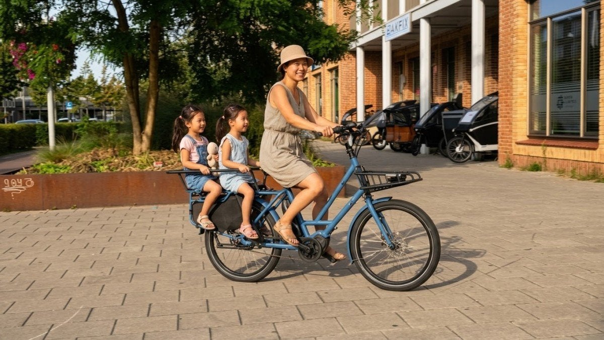Veloe Multi bakfiets longtail tweelingfiets 24 inc, Gebruikt, -, -, Elektrisch