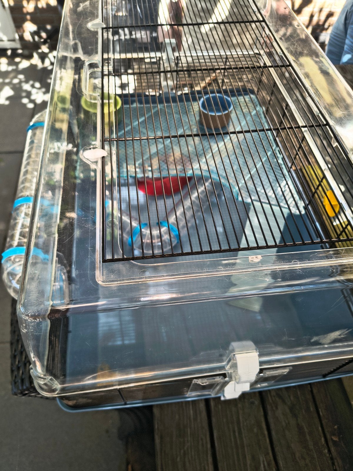 hamsterkooi met benodigdheden en voer, Ophalen of Verzenden