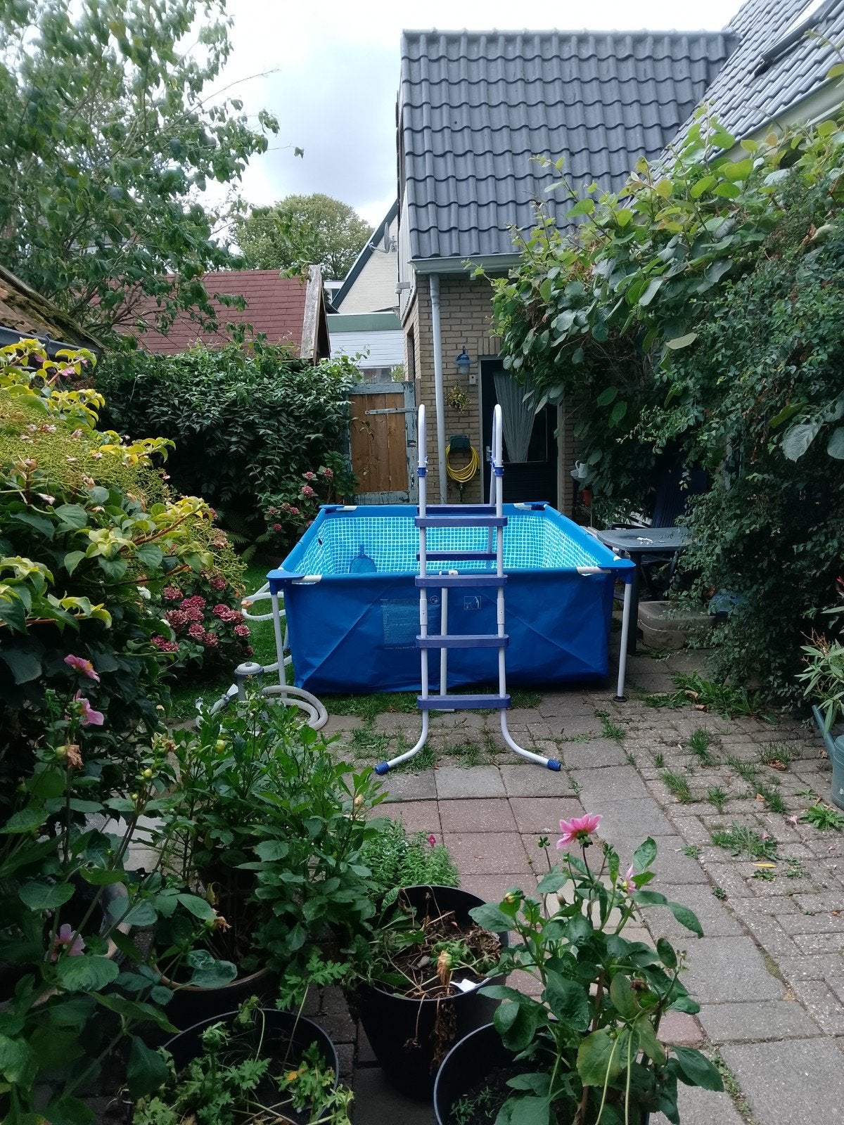 groot zwembad 2 bij 3 meter, Ophalen, Opzetzwembad, 200 tot 400 cm, Rechthoekig