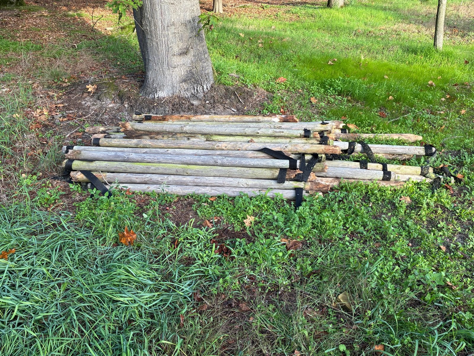 GRATIS: 70 Houten Boompalen - Ideaal voor Tuinprojecten, Ophalen of Verzenden, Gebruikt, 180 tot 250 cm, Palen