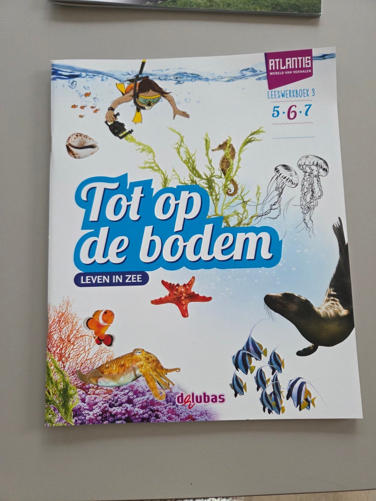 Atlantis Leeswerkboek 2 & 3 groep 6, Boeken, Ophalen of Verzenden, Gelezen, Overige niveaus, Nederlands