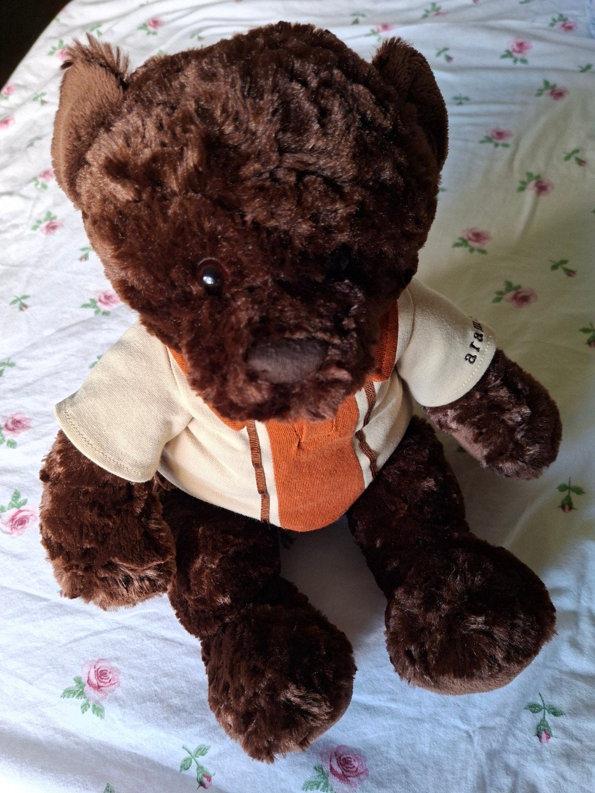 knuffelbeer, Ophalen of Verzenden, Zo goed als nieuw, Stoffen beer, Overige merken