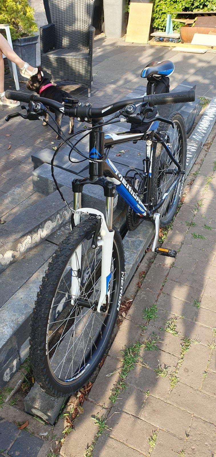 Merida Matts 20 Mountainbike - 18 inch, 24 versnellingen, Ophalen, Gebruikt, Hardtail, Heren