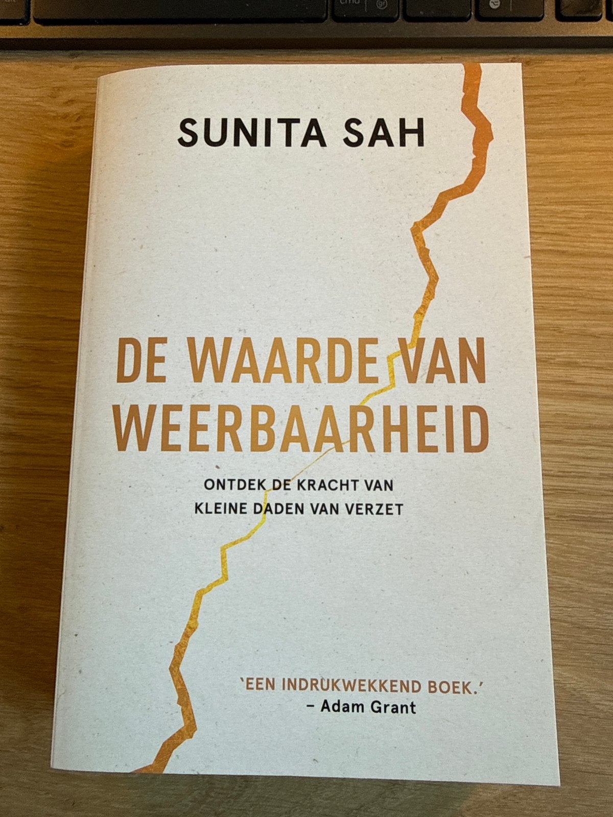 De Waarde van Weerbaarheid - Sunita Sah, Ophalen of Verzenden, Zo goed als nieuw, Overige onderwerpen