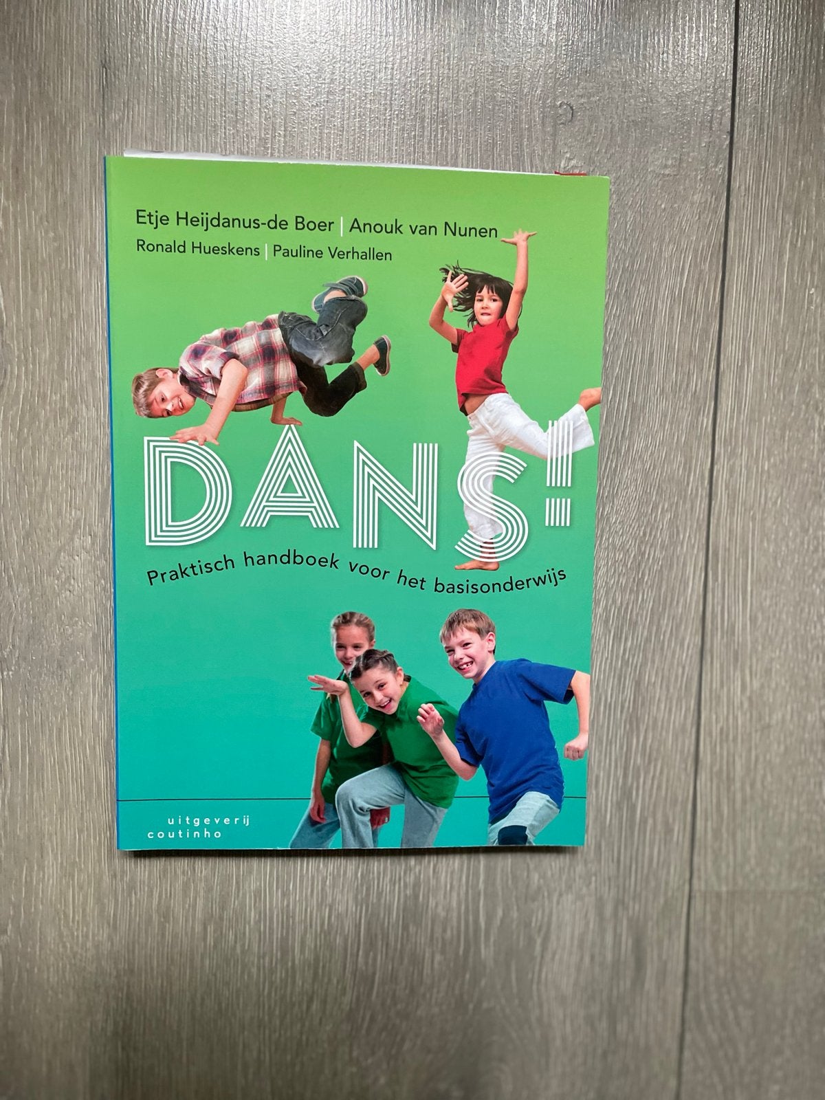 Dans! Praktisch handboek voor het basisonderwijs, Ophalen of Verzenden, Gamma, Zo goed als nieuw, HBO