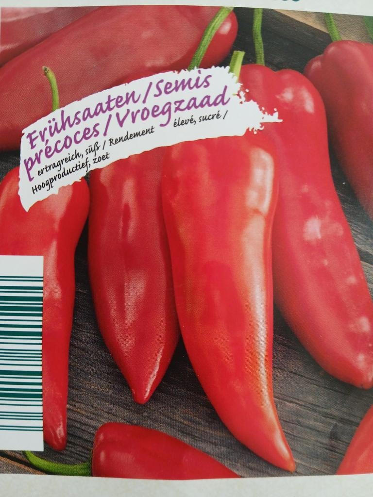 Punt paprika planten/ gewoon paprika planten, Tuin en Terras, Planten | Tuinplanten, Ophalen of Verzenden, Zomer, Eenjarig, Volle zon
