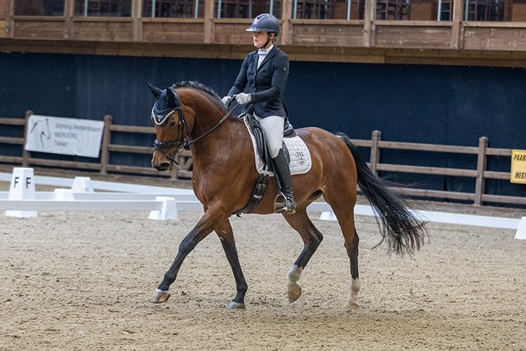 Ruiter aangeboden | Paarden en Pony’s 1 box vrij, Diensten en Vakmensen, Gedragstraining
