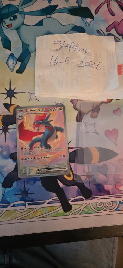 Salamence 187 journey together., Ophalen of Verzenden, Zo goed als nieuw
