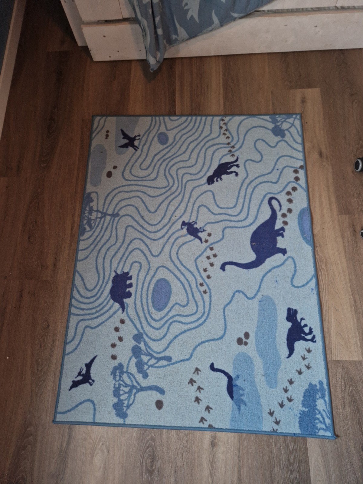 Ikea Dino Vloerkleed - Perfect voor Kinderkamer, Ophalen, Gebruikt, Rechthoekig