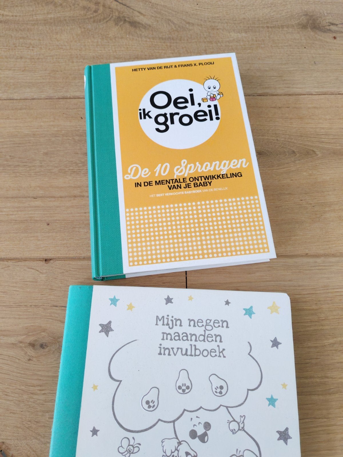 Zwangerschapsboeken: invulboek, dagboek & Oei, ik groei!, Boeken, Ophalen of Verzenden, Zo goed als nieuw, Zwangerschap en Bevalling