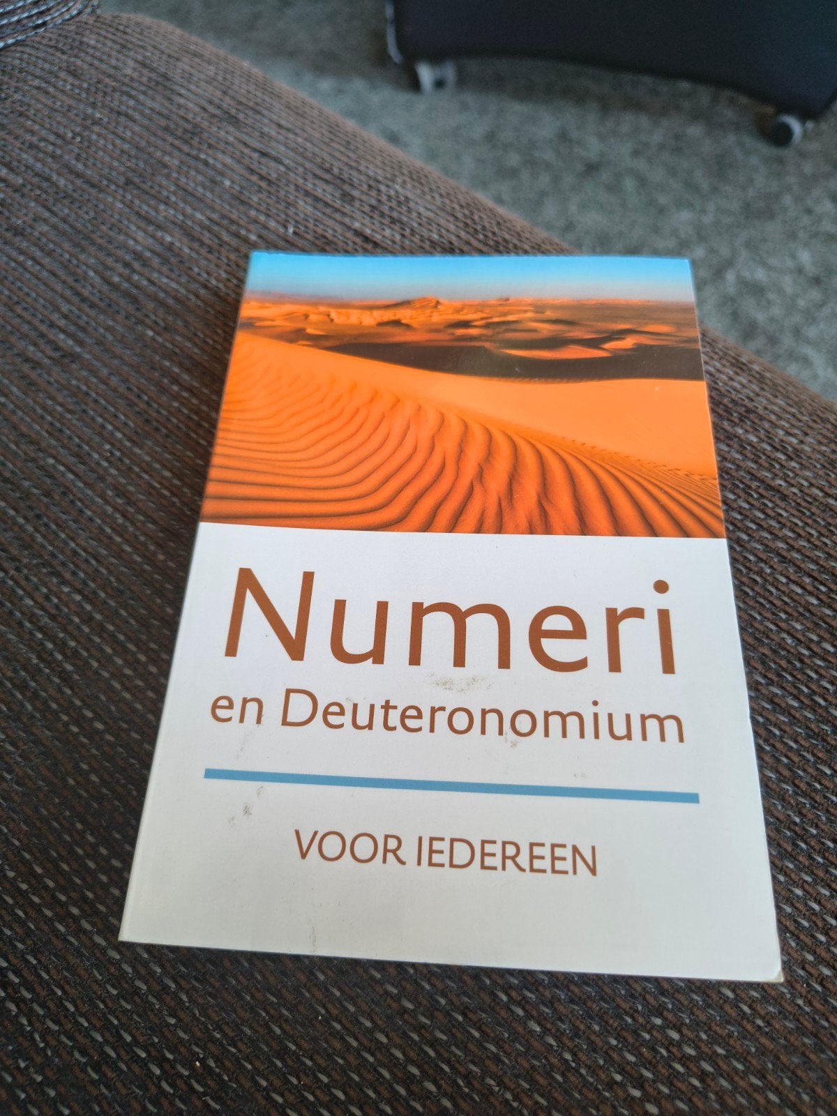 Numeri en Deuteronomium Voor Iedereen - Bijbelstudie, Ophalen of Verzenden, Zo goed als nieuw, Onbekend, Christendom | Katholiek