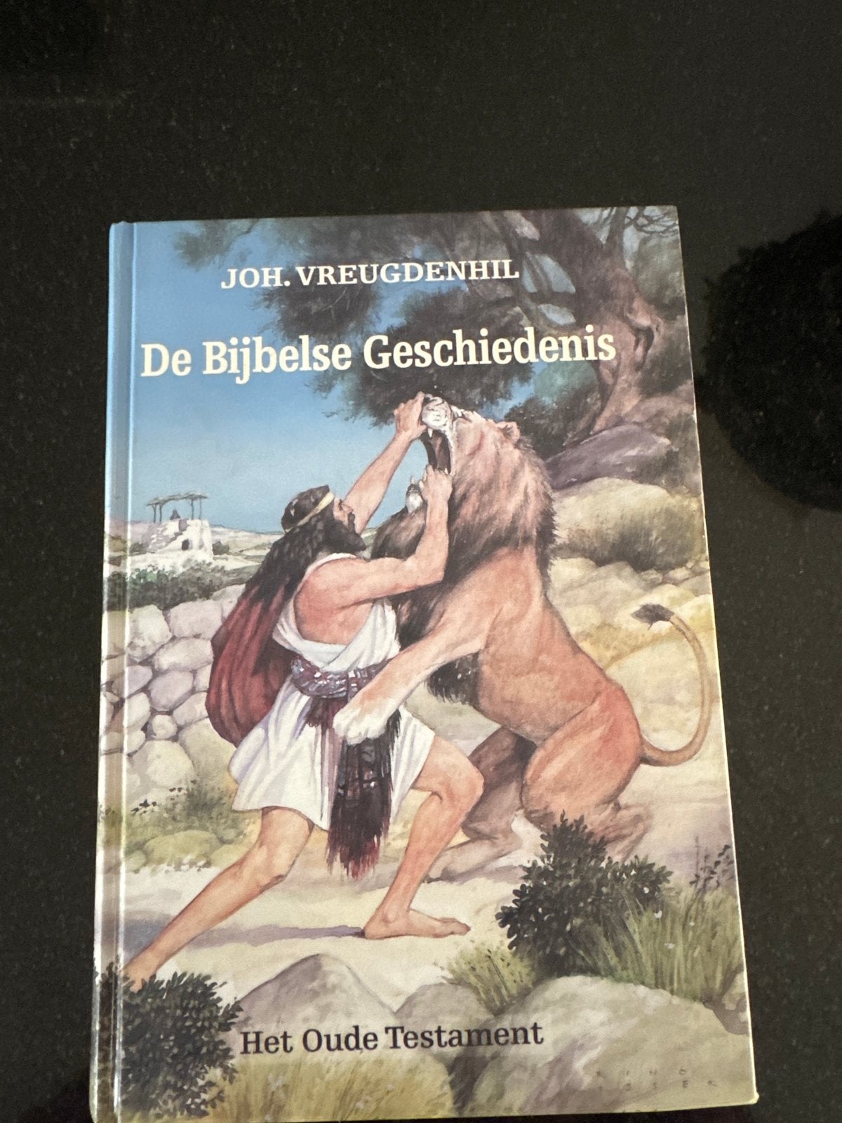 De Bijbelse Geschiedenis - Het Oude Testament (Joh. Vreugden, Boeken, Ophalen of Verzenden, Gelezen, Christendom | Protestants