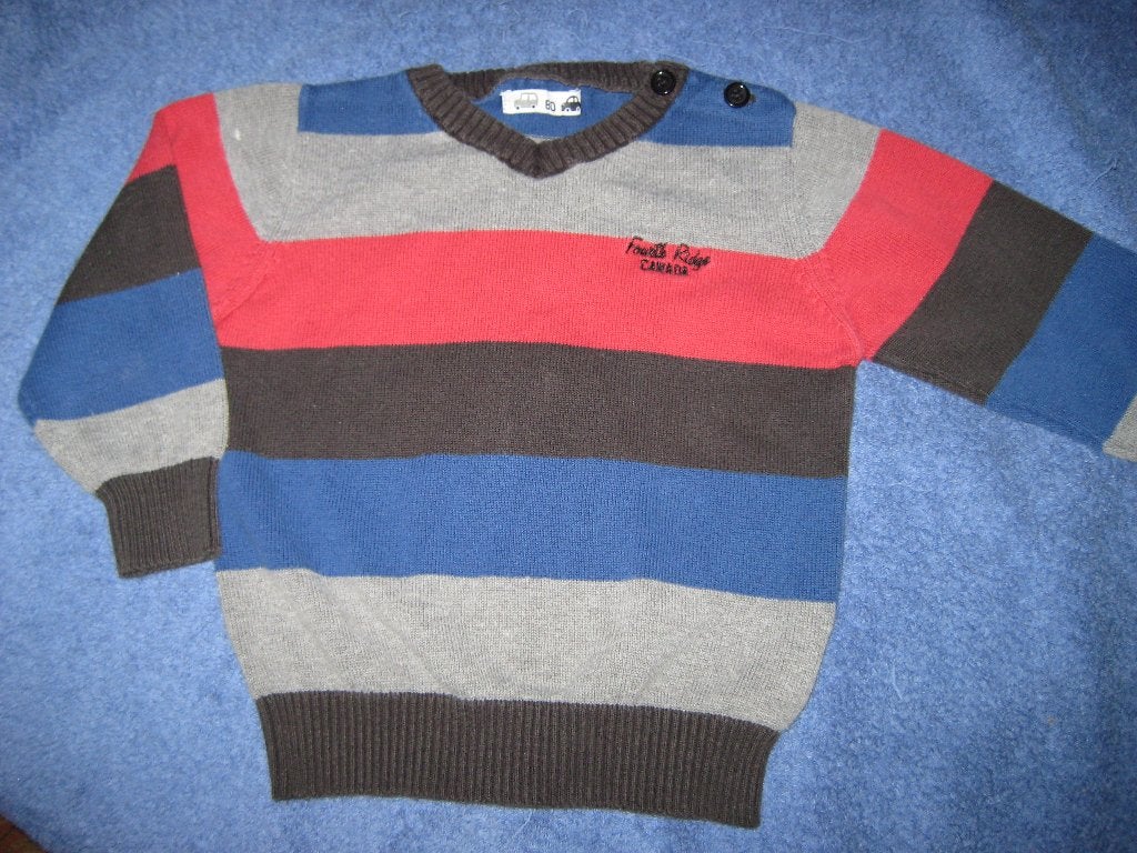 Truitje in 80, Kinderen en Baby's, Babykleding | Maat 80, Ophalen of Verzenden, Zo goed als nieuw, Jongetje, Truitje of Vestje