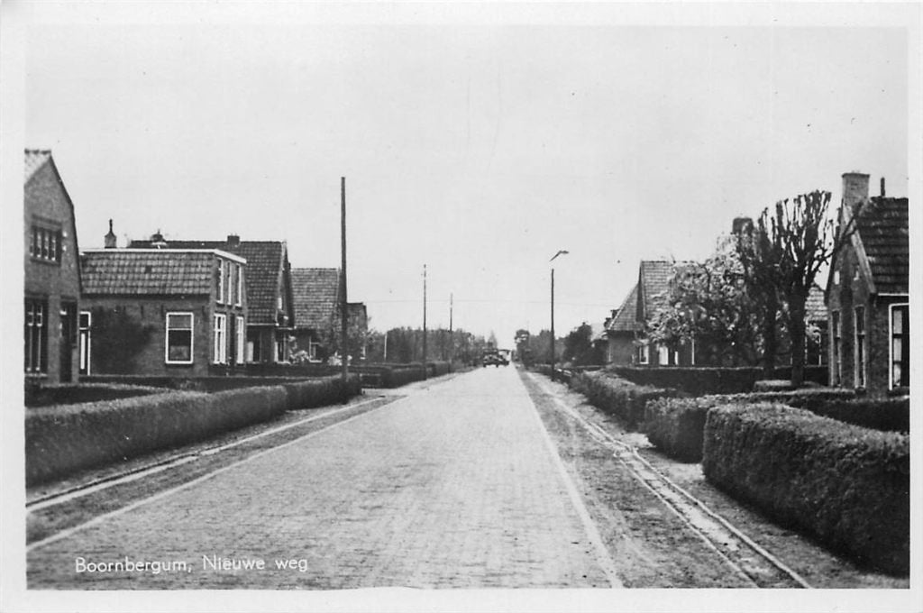 701-106-031 Boornbergum Nieuwe Weg, Verzenden, Voor 1920, Friesland