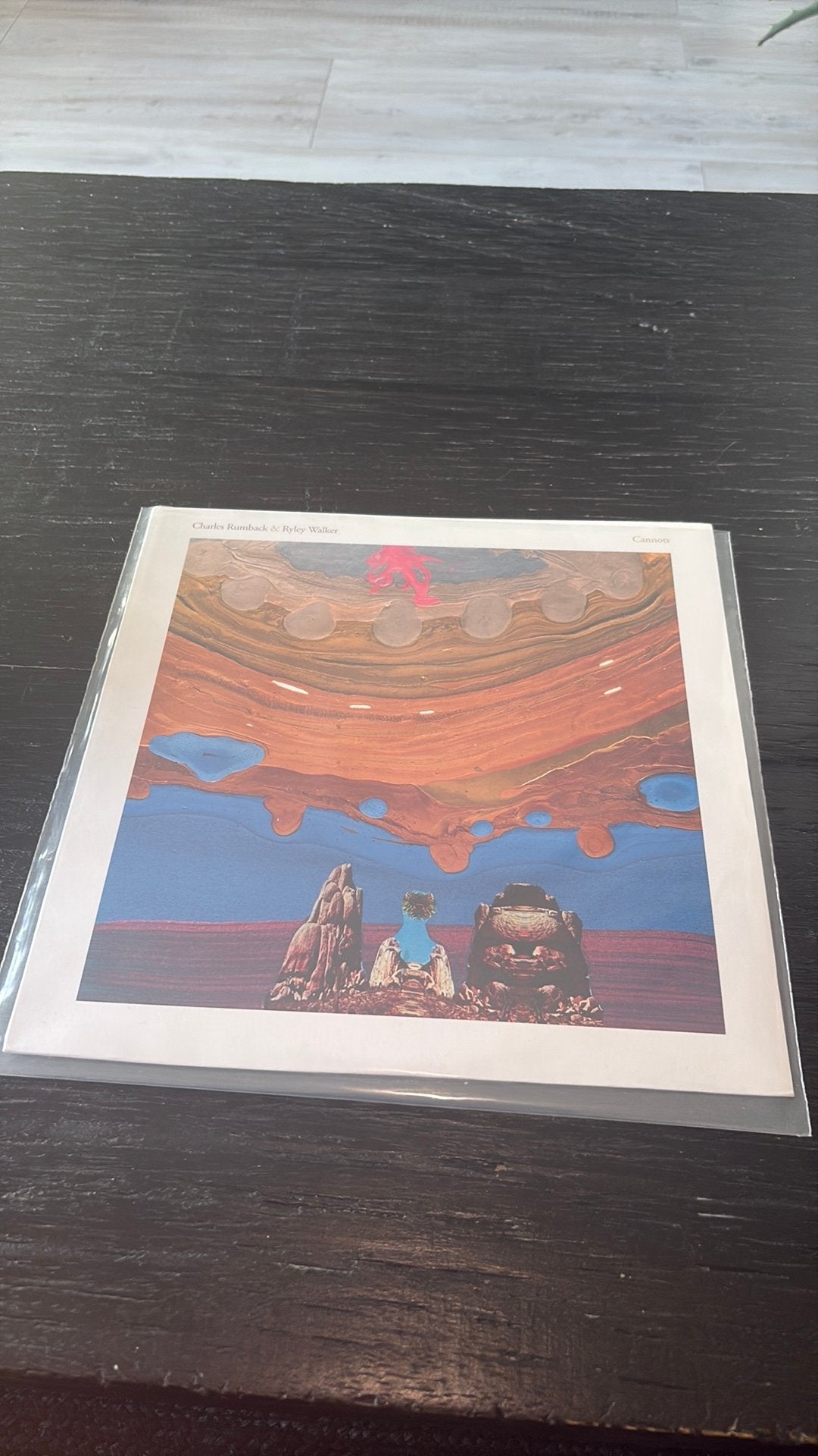 Charles Rumback & Ryley Walker – Cannots LP, Ophalen of Verzenden, LP