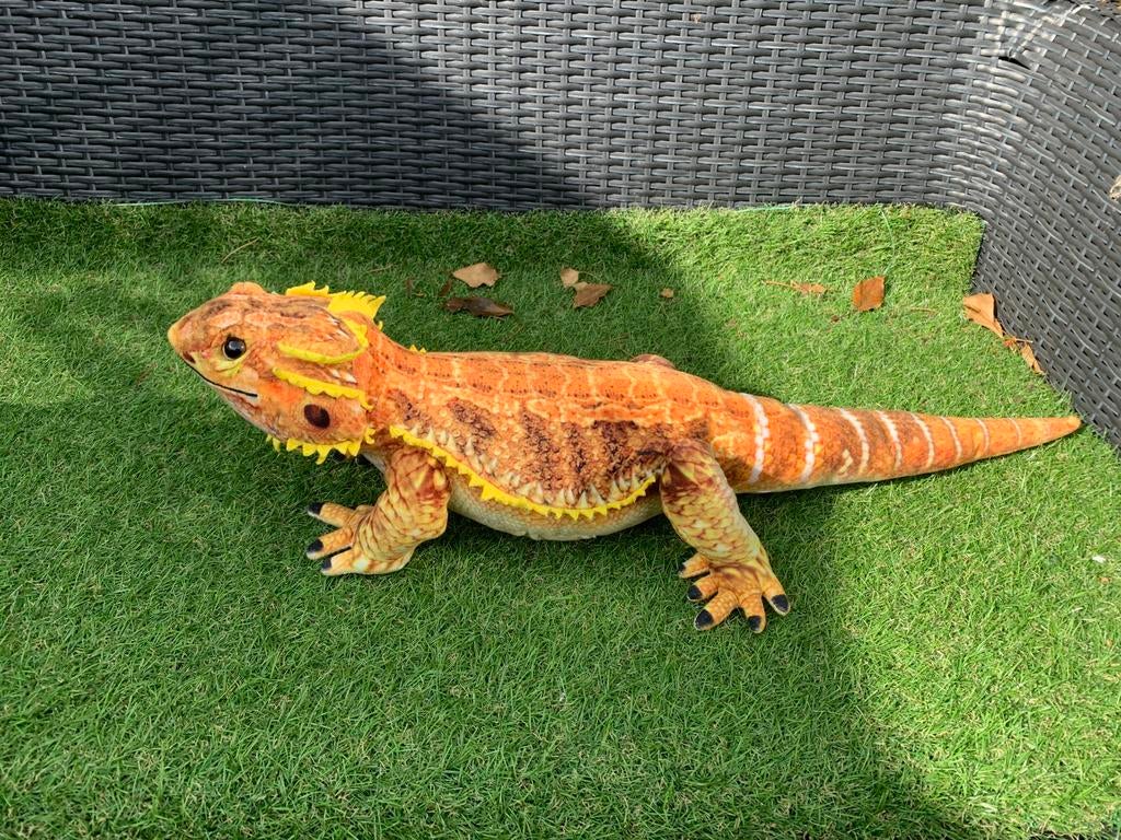 Pluche baardagaam 60 cm, Ophalen of Verzenden, Overige typen