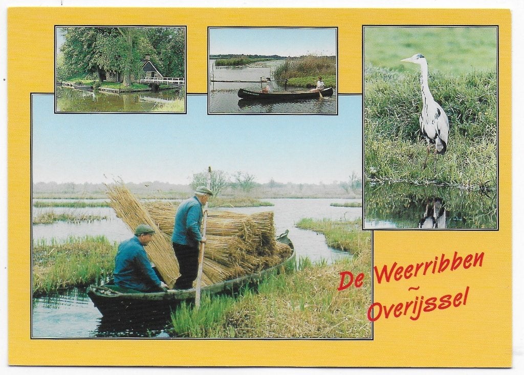 Weerribben Overijssel ongelopen Ansichtkaart (B2389 ), Ophalen of Verzenden, 1980 tot heden, Gelopen, Overijssel