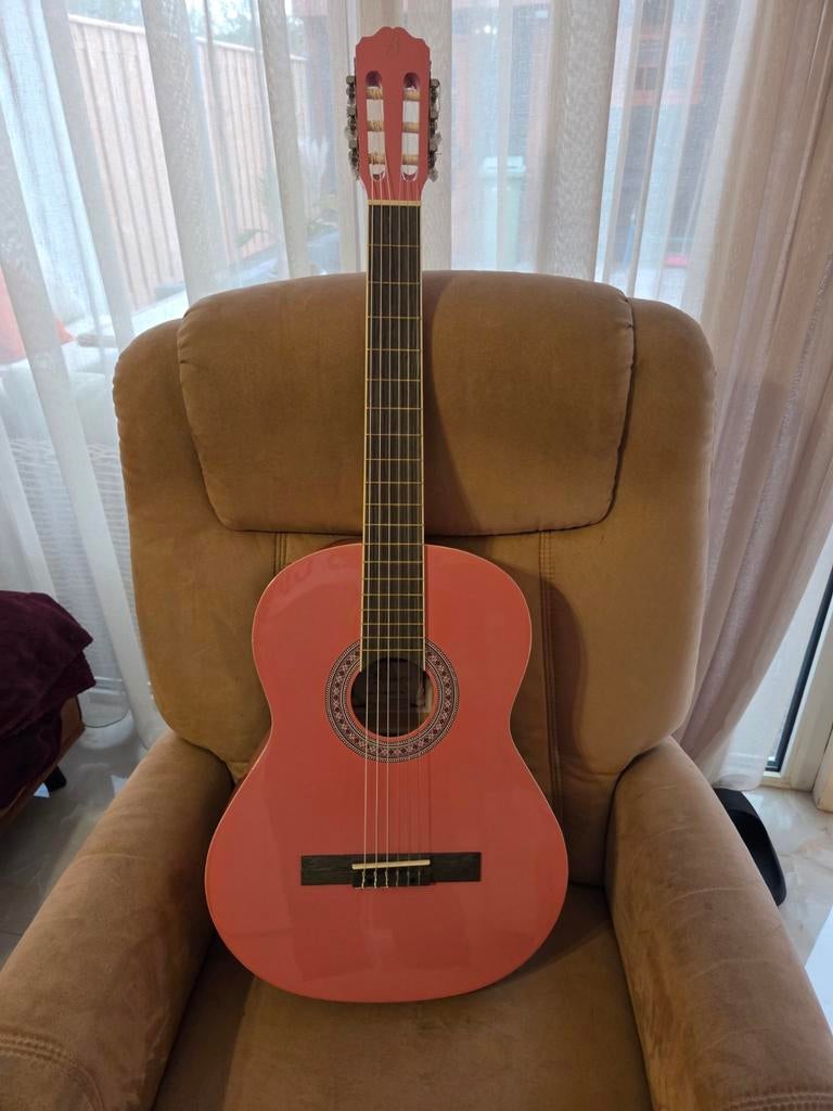 Gitaar, Ophalen, Klassieke of Spaanse gitaar, Met koffer