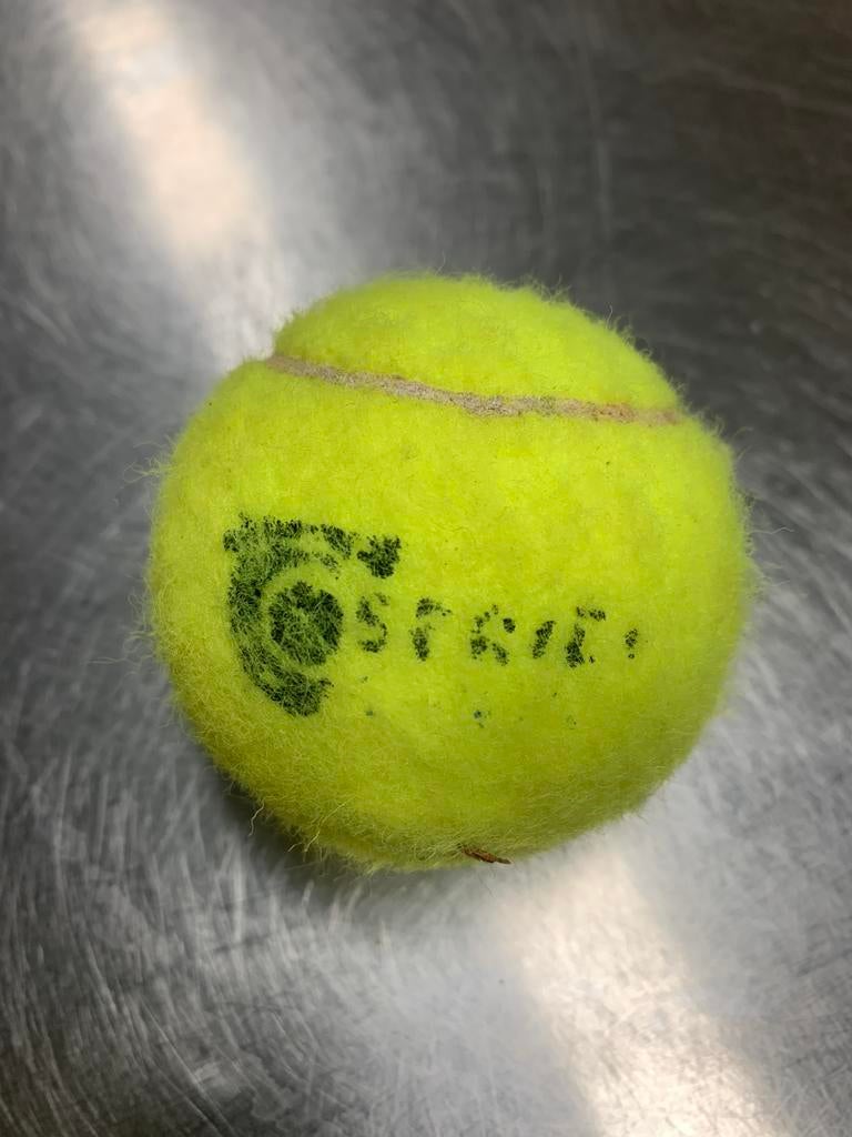 Oude ballen, Ophalen of Verzenden, Gebruikt, Hondenballen