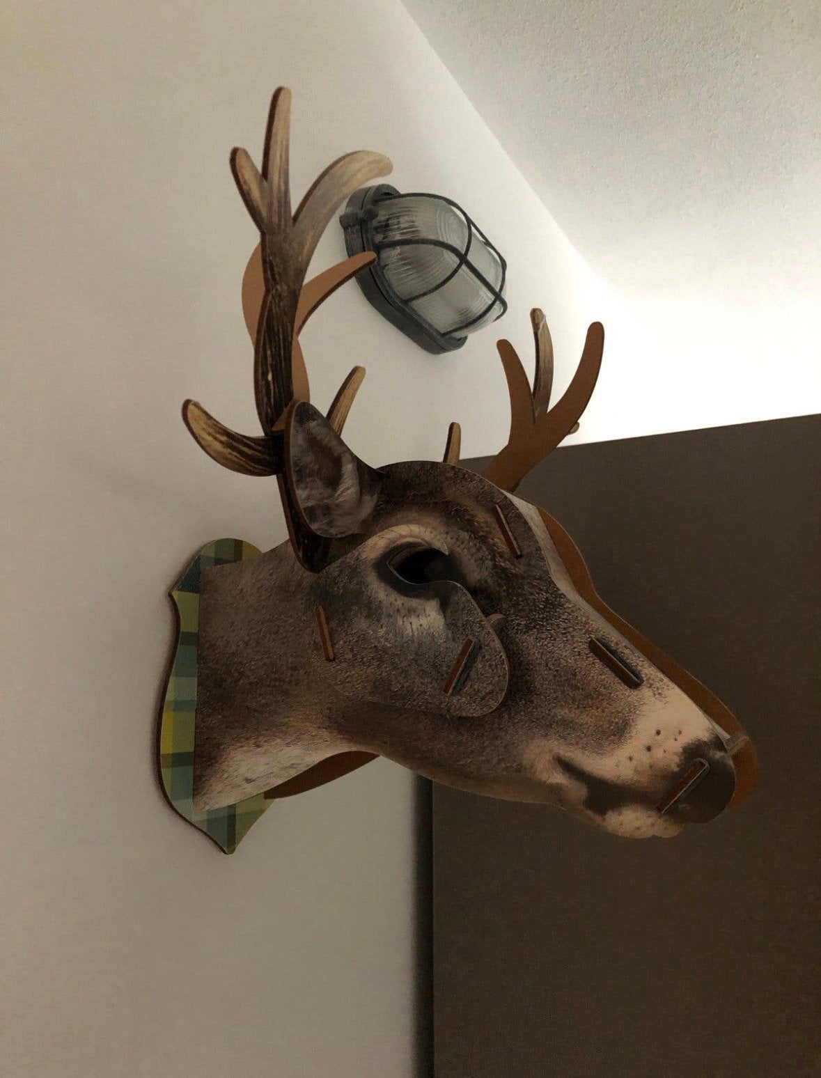 Wanddecoratie: Unieke 3D hertenkop, Bruin, Ophalen of Verzenden, Gebruikt, Ophangbaar