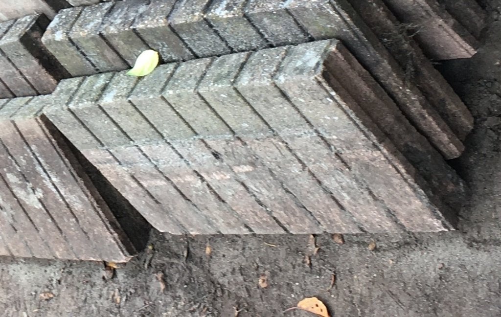GEZOCHT: palissade, Tuin en Terras, Ophalen, Gebruikt, 25 tot 50 cm, Minder dan 25 cm