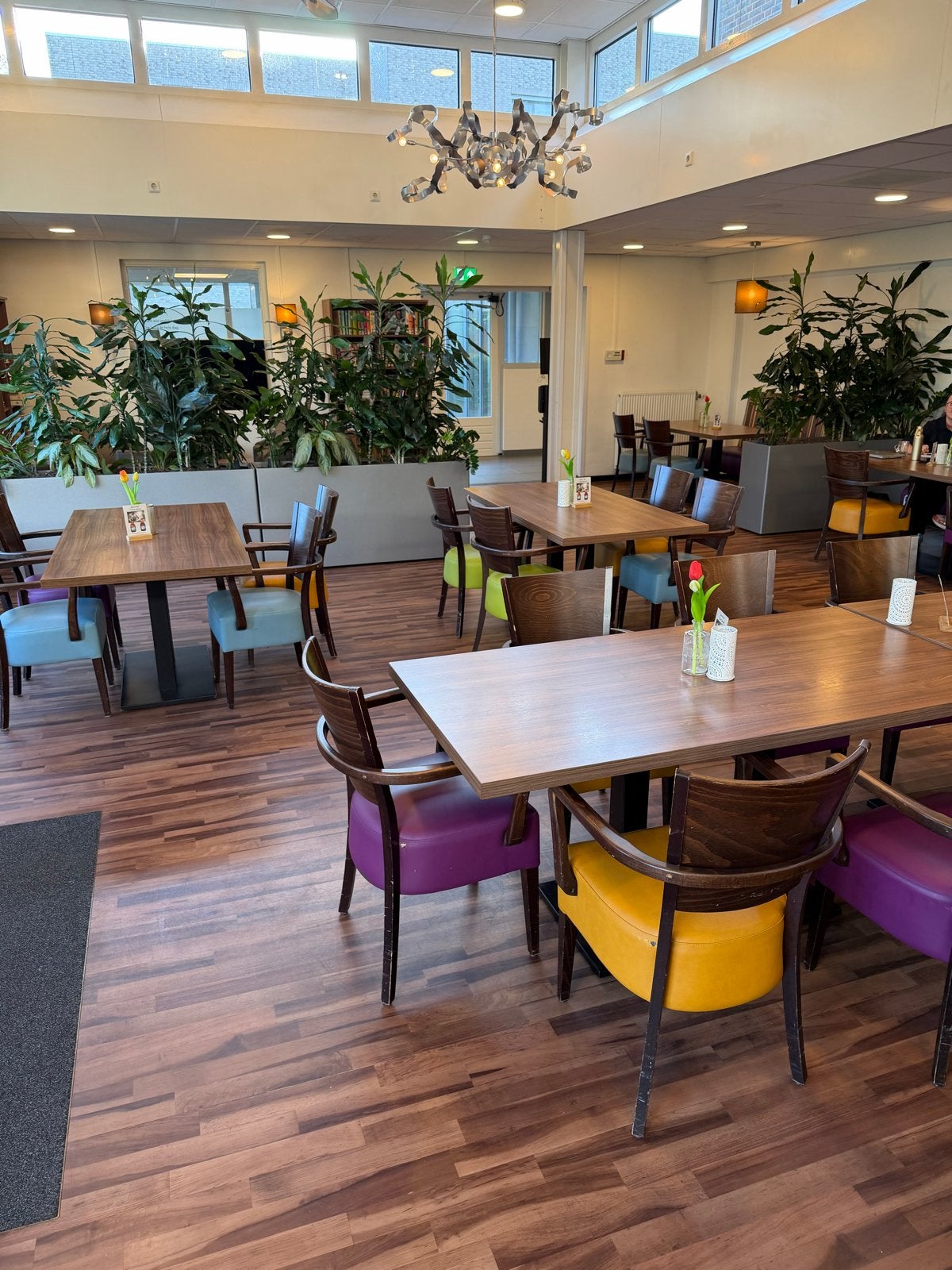 Inboedel restaurant: stoelen, tafels en lampen, Ophalen, Gebruikt, Overige kleuren, Vijf, Zes of meer stoelen