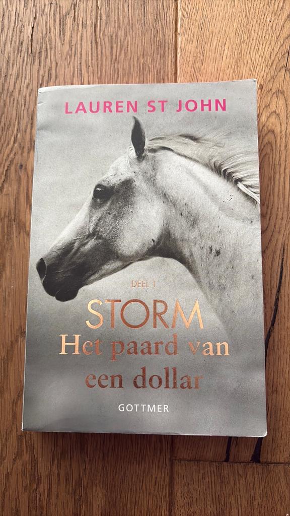 Lauren St John - Het paard van een dollar, Boeken, Ophalen of Verzenden, Zo goed als nieuw, Lauren St John